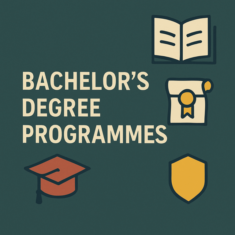 bachelor’s degree programmes
