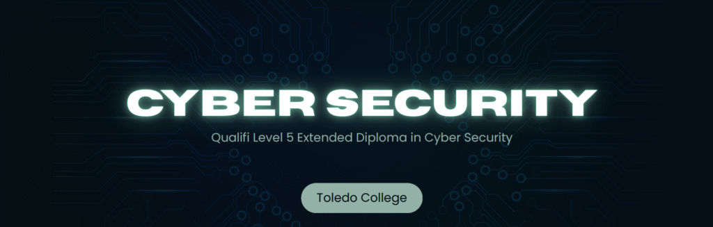 level 5 cyber