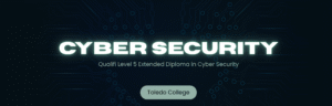 level 5 cyber