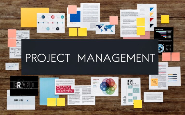 msc project management 2